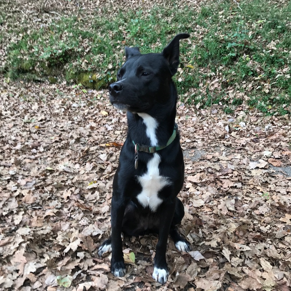 Meet your Posher, Colleen